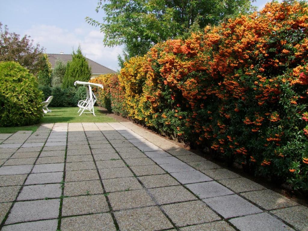 Rajna Apartmanhaz Bogács Exterior foto